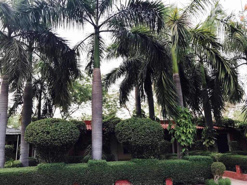 Hotel Sheela, 100M From Taj Mahal Agra  Exterior foto